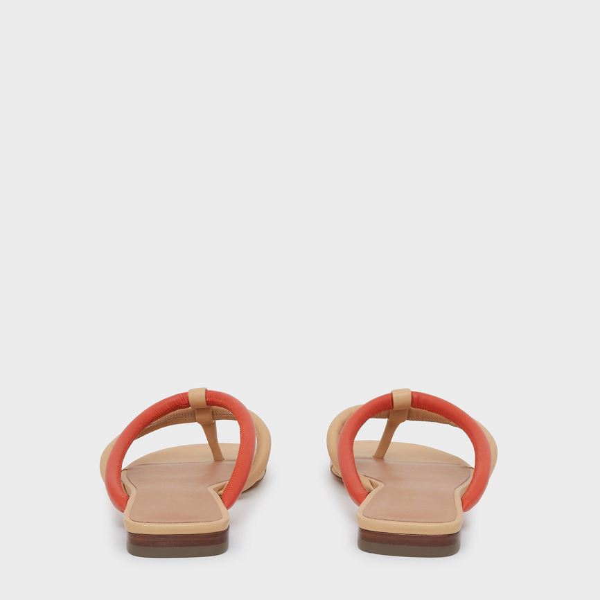 Infradito Mansur Gavriel Filo Donna Beige Arancioni | F12DIWV281